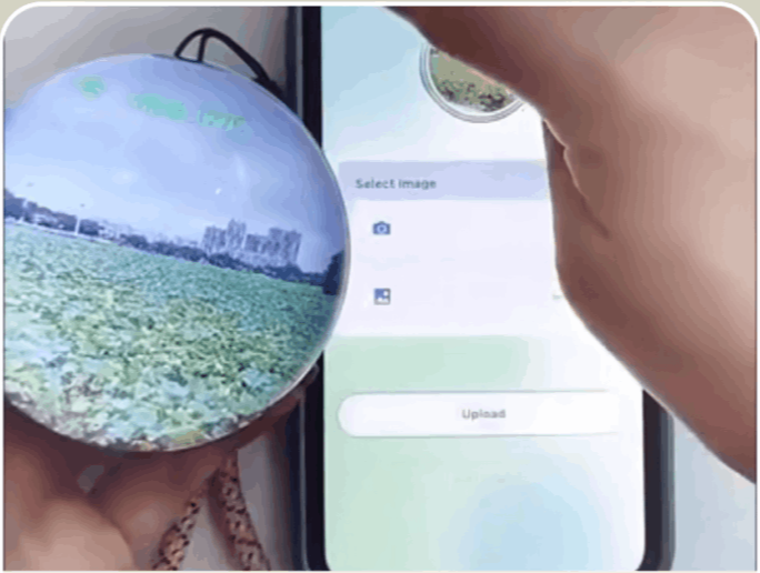 Lumi Memory Orb